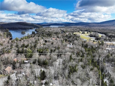 16 Deerwood Dr, Inlet, NY 13360 - photo 6