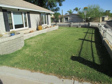 Front Yard