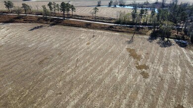 TBD Black Creek Rd, Nichols, SC 29581 - photo 7