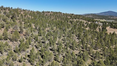 Dans Riverside Ranch Property 06