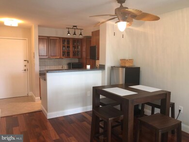 316 Burnside St unit 506, Annapolis, MD 21403 - photo 5