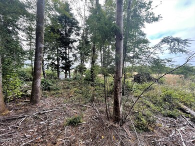 T/L 4000 SE Port Dr, Lincoln City, OR 97367 - photo 4