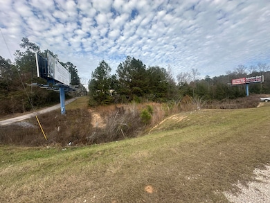 1.6 Acres La Jaunie Ln, Sumrall, MS 39482 - photo 4