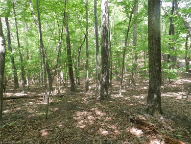 0 Oakmont Dr unit 832462, Asheboro, NC 27205 - photo 3