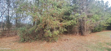 0 Raintree Ln unit 1323950, Kingston, TN 37763 - photo 2