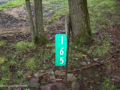 165 Maple Rd, Blakeslee, PA 18610 - photo 4