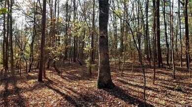 0 Crestwood Loop unit 10, Wittenburg, NC 28681 - photo 5