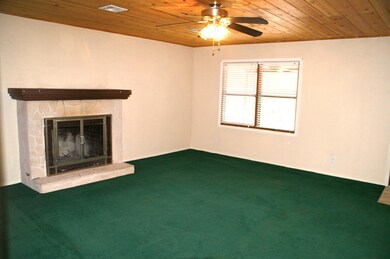 3265 N Fuller Dr, Pine, AZ 85544 - photo 4