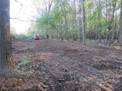 owner has partially cleared lot