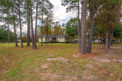 23511 Roberts Cemetery Rd, Hockley, TX 77447 - photo 3