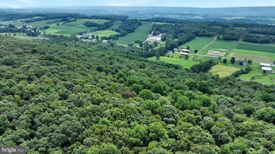 0 Long Run Rd, Pine Grove, PA 17963 - photo 5