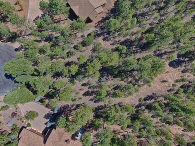 4041 W. Ninebark Torreon Land for Sale 9