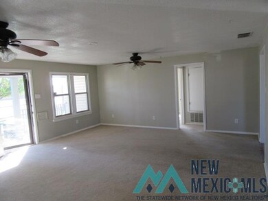917 N Linam St, Hobbs, NM 88240 - photo 3