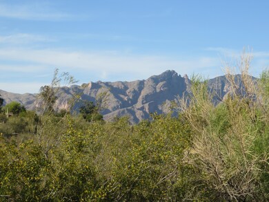 IMG_2042
