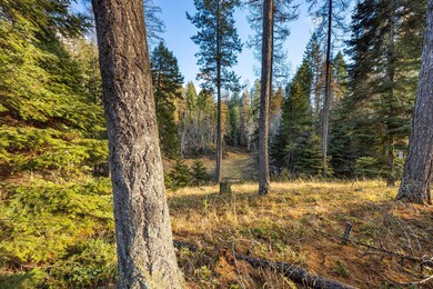 76 Meadow Mint Way, Kalispell, MT 59901 - photo 7