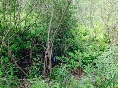 299 Middleline Rd, Ballston Spa, NY 12020 - photo 6