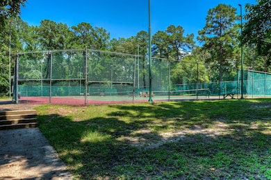 161 N Pine Harbour Dr, Coldspring, TX 77331 - photo 5