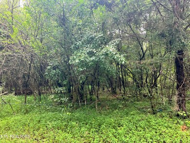 0 Prigmore Ridge Rd unit 1310631, Decatur, TN 37322 - photo 6