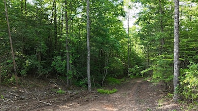 TR 2 E New Hope Rd, Ellijay, GA 30536 - photo 6