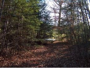 0 Old Westport Rd unit 4432711, Winchester, NH 03470 - photo 7