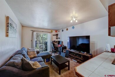 300 W 32nd St unit 105, Durango, CO 81301 - photo 6