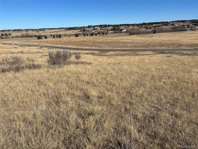 9375 Red Primrose St unit 37, Franktown, CO 80116 - photo 4