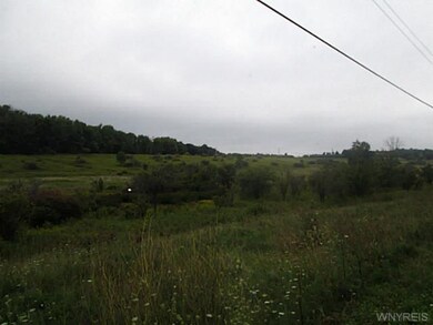 Land/Lot