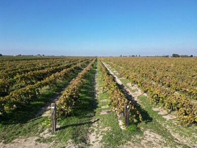 529 W Floral Ave, Fresno, CA 93706 - photo 4