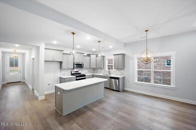 7588 Crosswinds Blvd, Hernando, MS 38632 - photo 4