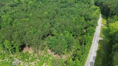 Aerial overview of property's location with a heavily wooded area and property parcel outlined