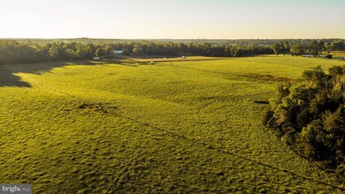 3553 Bibb Store Rd, Louisa, VA 23093 - photo 7