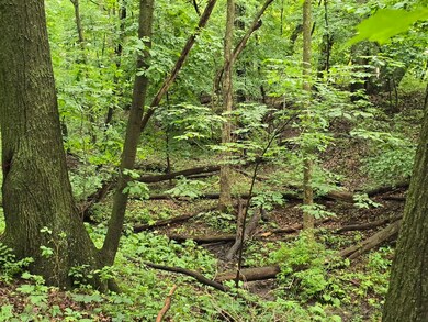 vl Lehring Rd, Durand, MI 48429 - photo 6