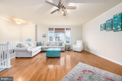 14 Lamplighter Ln, Stafford, VA 22554 - photo 4