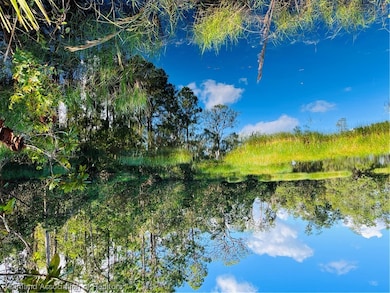 1749 S Nitschke Rd, Avon Park, FL 33825 - photo 3