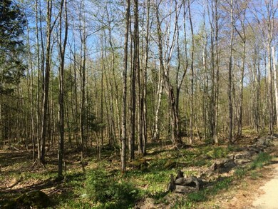 20.3 County Rd, Acton, ME 04001 - photo 3