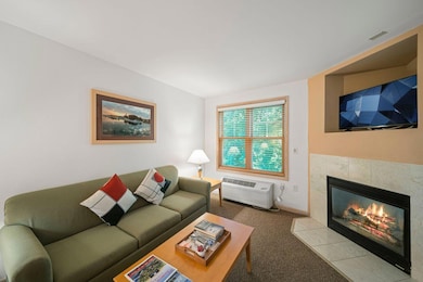 123 Center St unit 212, Lake Geneva, WI 53147 - photo 5