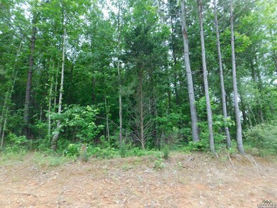 View of landscape featuring a view of trees