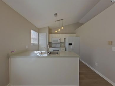 3 Sonny Ct, Columbia, SC 29223 - photo 5