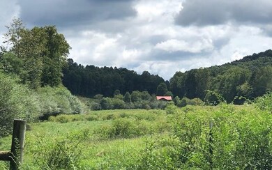 00 52 E, Ellijay, GA 30540 - photo 4