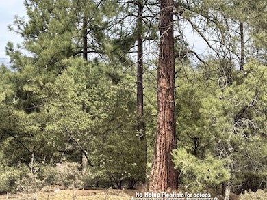 700 N Tyler Pkwy, Payson, AZ 85541 - photo 3