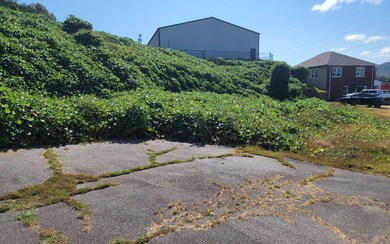 Additional View