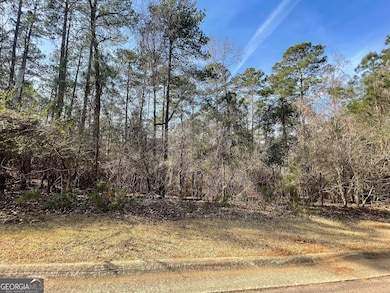 201 Lakeview Ct, La Grange, GA 30240 - photo 2