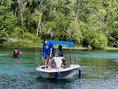 Silver Springs