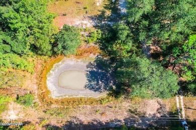 1873 Adolph Whitaker Rd, Bonifay, FL 32425 - photo 4