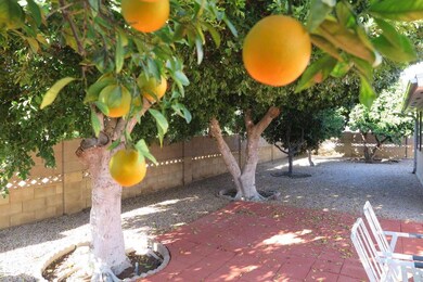 IMG_1494