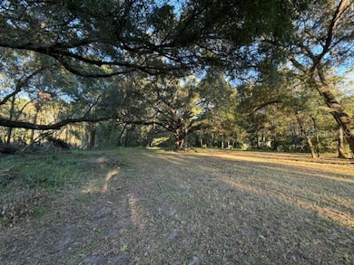 5005 SW 63rd Blvd, Gainesville, FL 32608 - photo 3