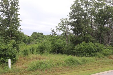 371 Palmilla Dr, Gordonville, TX 76245 - photo 7