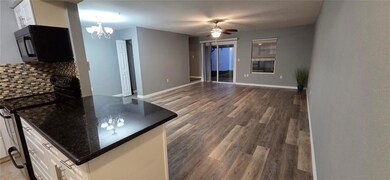 11913 Congressional Dr unit 11913, Tampa, FL 33626 - photo 5