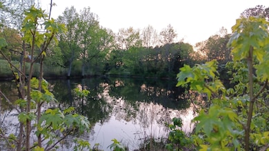 0 Cannady Mill Rd, Franklinton, NC 27525 - photo 3