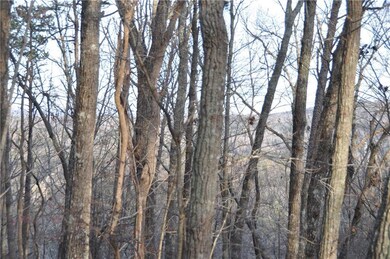 View of nature